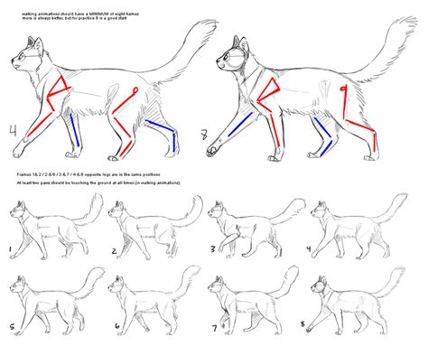 How To Cat Walk Cycle By Sowod Walking Animation Cat Anatomy