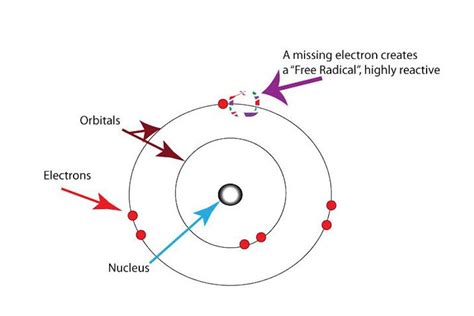 What Are Free Radicals Definition Examples Types Mechanism Uses My