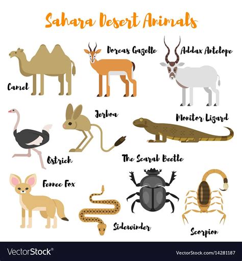Vector Flat Style Set Of Desert Wild Animals Icon For Web