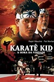 The Karate Kid (1984) - Posters — The Movie Database (TMDb)
