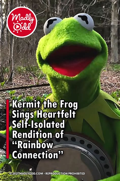Pin Kermit The Frog Sings Heartfelt Self Isolated Rendition Of Rainbow