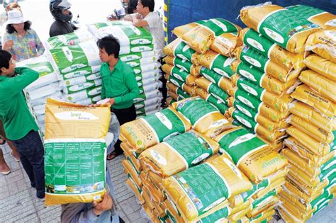 Cambodia Rice Export Cambodia News Today