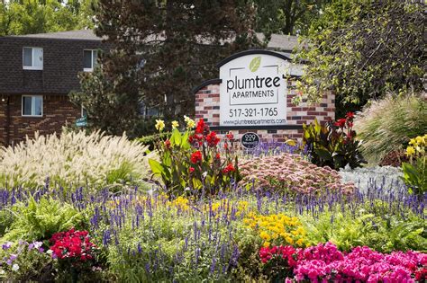 If you pick up one of these blooms, choose white. Plumtree Apartments - Lansing, MI | Apartments.com