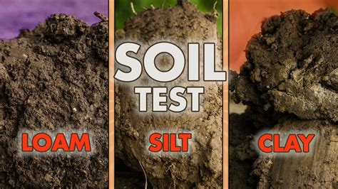 Testing Soil Types Two Soil Test You Can Do To Determine What Soil