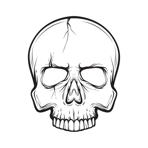 Outline Skull Black And White Vector Illustration 7126860 Vector Art