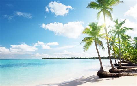 Tropical Sand Beach Palms Hd Desktop Wallpaper Widescreen High