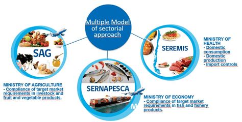 8 Diagram Of The Food Safety Management System In Chile Courtesy Of