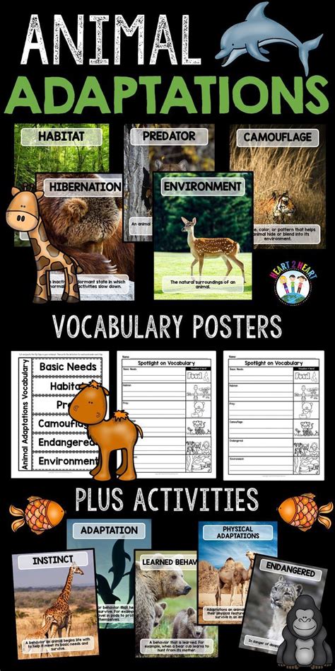 You Will Love These 12 Colorful And Eye Catching Vocabulary Posters