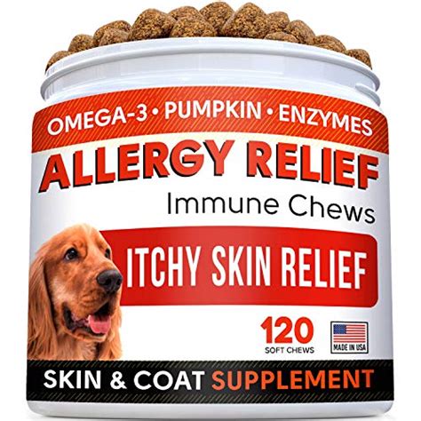 Top 10 Best Dog Allergy Chews Available On Market Best Tech Review