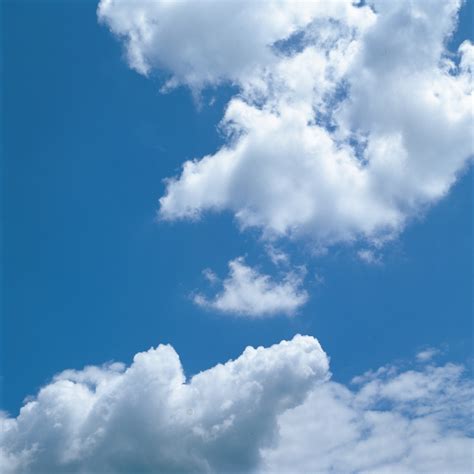 This is how cirrus clouds look on a clear blue sky. A Kid's Science Project on Clouds With Cotton Balls ...