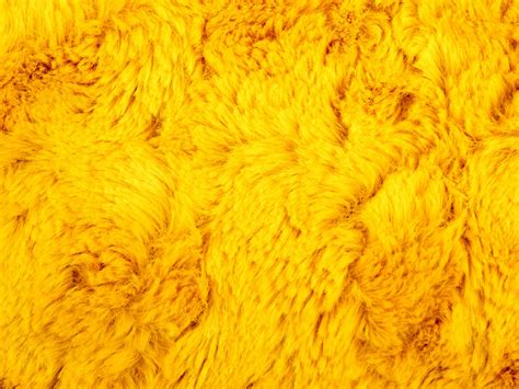 Yellow Fur Background Free Stock Photo Public Domain Pictures