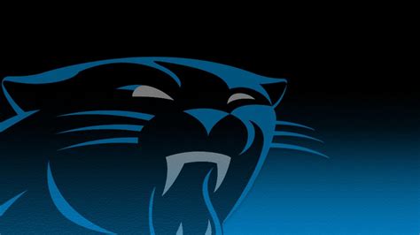 Carolina Panthers Wallpapers Top Free Carolina Panthers Backgrounds