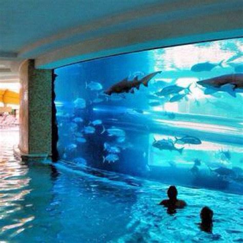 11 Most Beautiful Swimming Pools Photos Pool Cool Pools Places To Visit