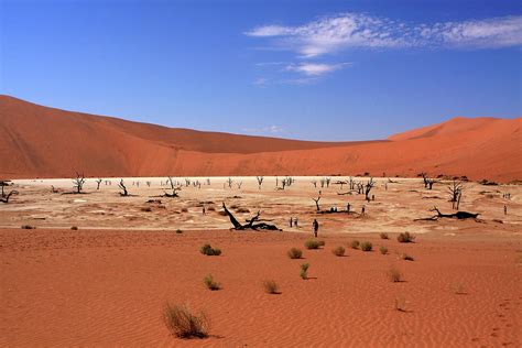 Dead Vlei Sossusvlei Namibia Southern Africa Photograph By Aidan