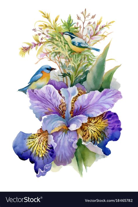 Summer Watercolor Flowers And Birds On White Vector Image