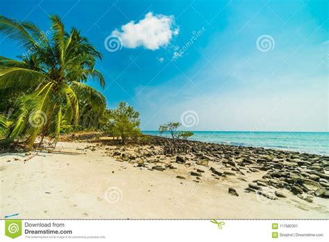 beautiful nature tropical beach and sea with coconut palm tree o stock image image of beach