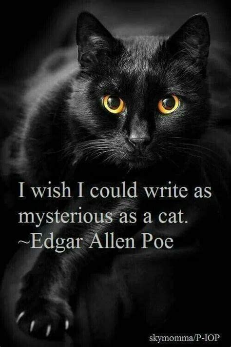 Pin By Kimber On Black Cats♡ Poe Quotes Poe Edgar Allan Poe Quote