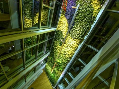 Green Building Wall Moves To Filter Indoor Air Living Wall Green