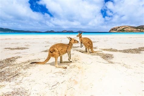 the 20 best beaches in australia
