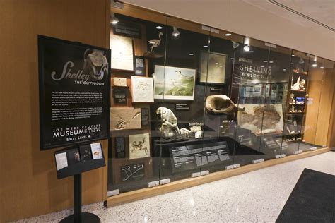 The Wesleyan Argus Museum Exhibit In Usdan Showcases Newly Restored