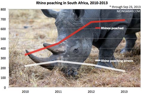 Worst Rhino Poaching Year On Record For South Africa Focusing On Wildlife
