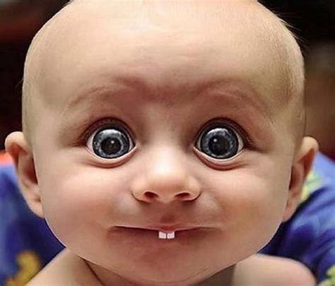 Big Eyes Baby Funny Pictures Hilarious Jokes Meme Humor Walmart