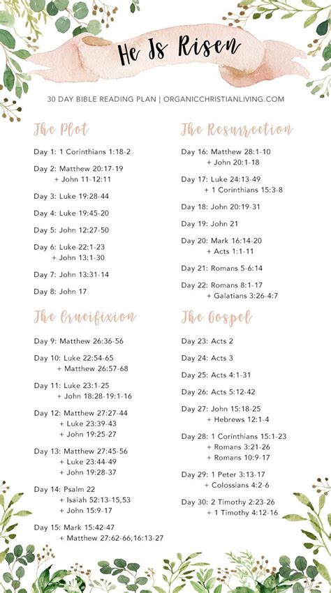 Bible Study Guide For Beginners Yoiki Guide