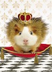 Geburtstag Humor Grußkarte Googlies Wackelaugen Hamster König mit Krone ...