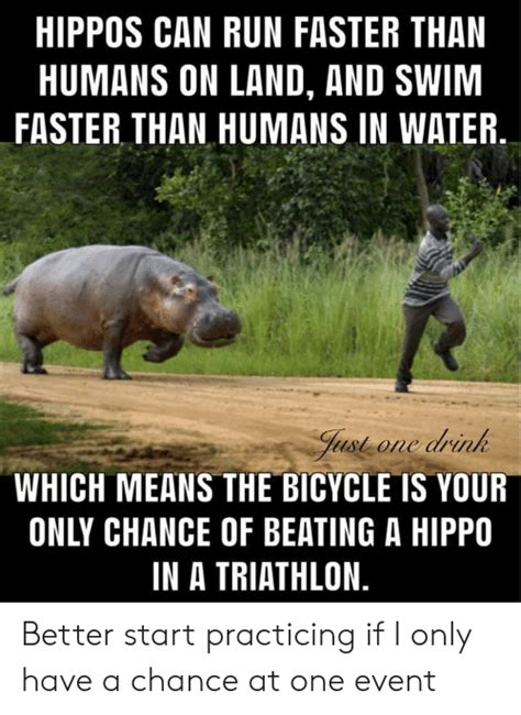 Hippos Can Run Faster Than Humans On Land And Swim Faster Than Humans