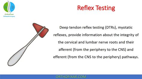 Reflex Testing Deep Tendon Reflexes
