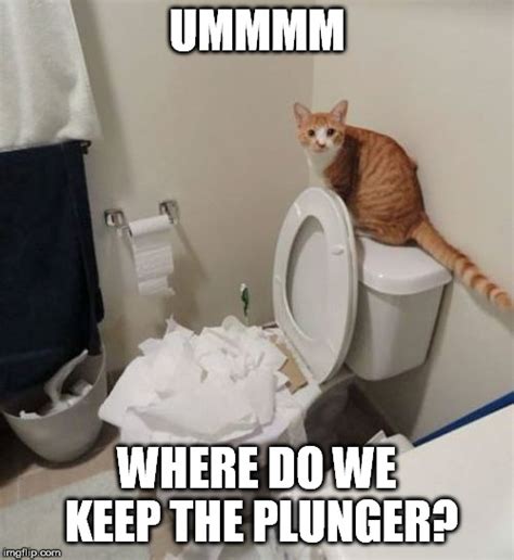 Toilets Clogged Again Imgflip