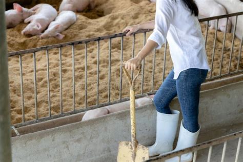 Young Farmer With Shovel Working In In Organic Farm Pig Agriculture