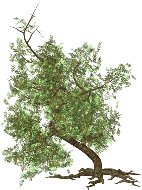 Download Tree Png Image Hq Png Image Freepngimg