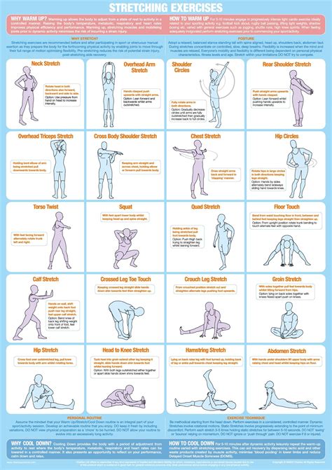 Stretching Flexibility Exercise Poster Laminated Newm Vrogue Co