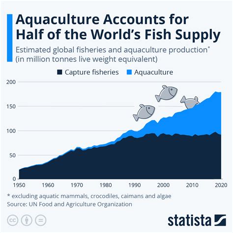 Aquaculture Accounts For More And More Of Global Fish Supply World