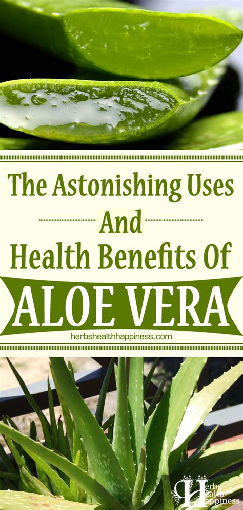 Herbs Health And Happiness The Astonishing Uses And Health Benefits Of
