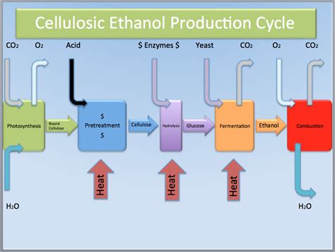 Cellulosic Ethanol Environmentally Friendly But Costly