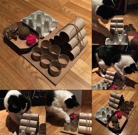 Food puzzle toys have been shown to reduce stress and boredom in cats, and they're very easy to make on your own. Upcycled puzzle feeder for cats 🐱 in 2020 | Diy cat toys ...