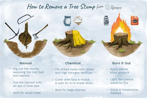 Links to the best tree stump killers we listed in today's tree stump killer review video: 3 Ways to Remove a Tree Stump Without a Grinder