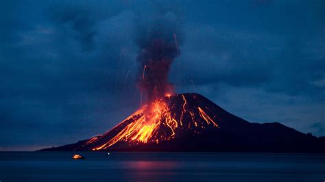 A Tsunami From An Anak Krakatau Eruption Could Wipe Out Javan Rhinos