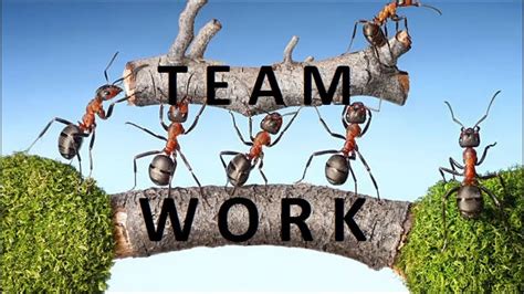Pentingnya Teamwork Antar Karyawan Perusahaan Jojonomic Aplikasi