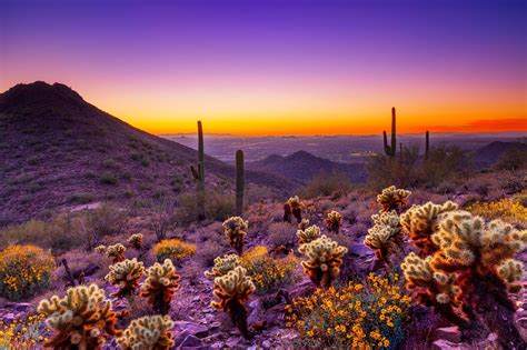 Arizona Desert Sunset Wallpapers 4k Hd Arizona Desert Sunset