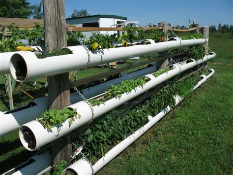 Pvc watering grid will help you become more efficient in watering the garden. DIY Hydroponic Garden Tower Using PVC Pipes