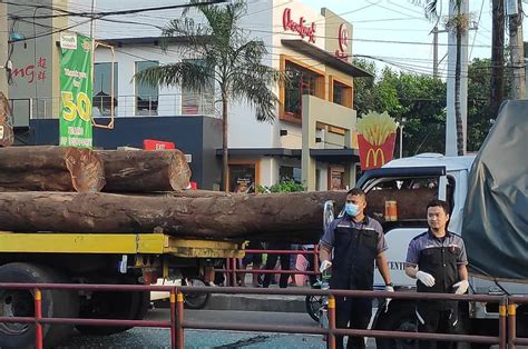 4 simple points to bear in mind in case the unexpected happens. Log crushes man in freak road accident in Valenzuela ...