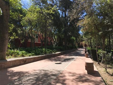 Parque Benito Juarez San Miguel De Allende All You Need To Know