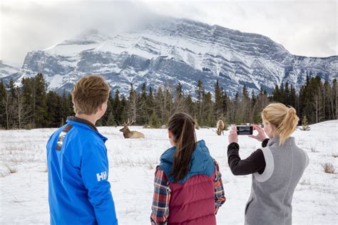Banff Adventures Discover Banff And Its Wildlife Winter