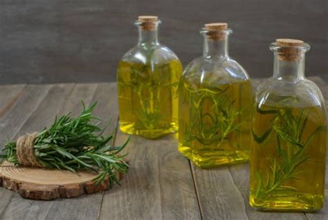 Olio Al Rosmarino Fai Da Te Ricetta Benefici E Usi Inchiostro Virtuale