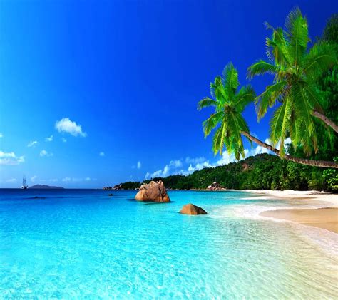 Tropical Paradise Wallpapers Top Free Tropical Paradise Backgrounds