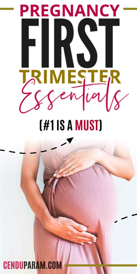 Pin On Pregnancy Essentials And Postpartum Essentaials