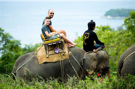 Day trip in koh chang. Elephant Trekking exploring Phuket jungle - Kok Chang Safari